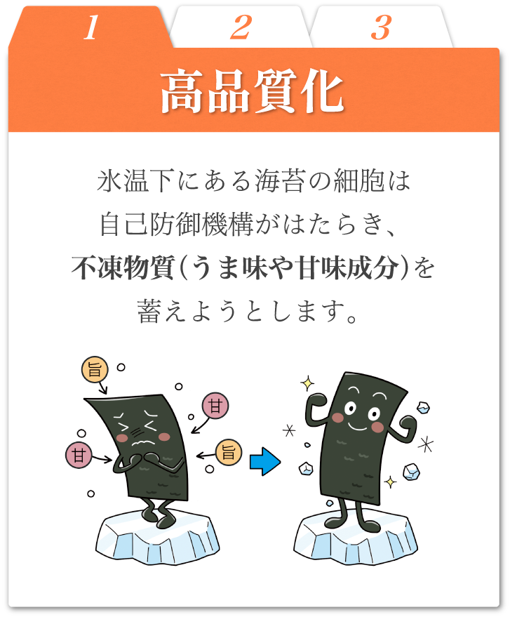 高品質化