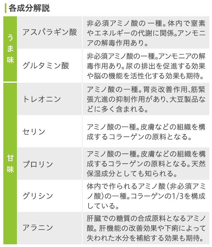 用語解説